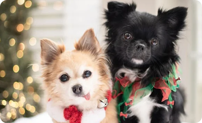 Be Part of a Community That Cares