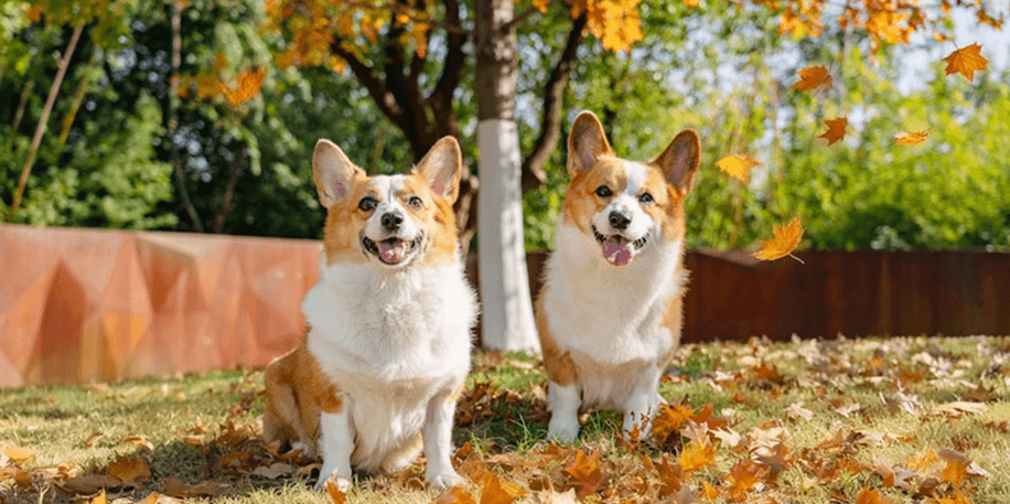 Be Part of a Community That Cares